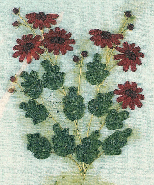 Dahlias
