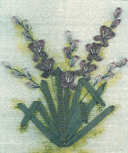 Gladiolus