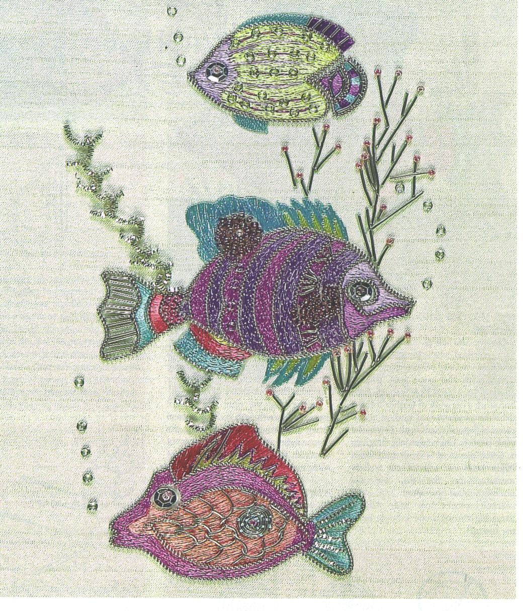 Fishes from Bangalore