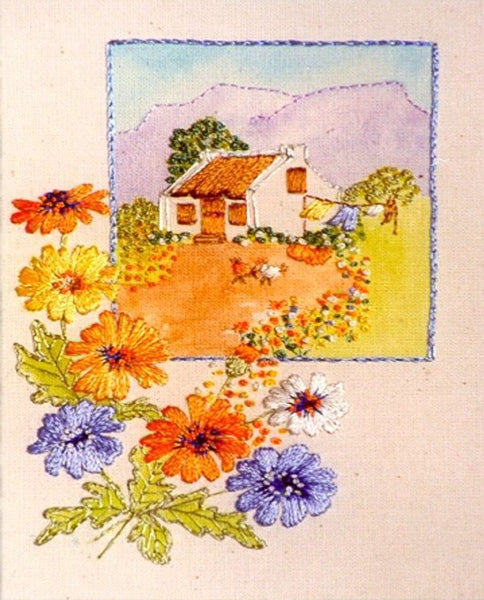 Namaqualand Daisies