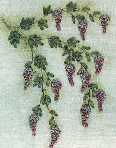 Wisteria
