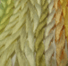 Art Silk - 11 Golds